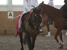 IMG-9841-018-redigeret